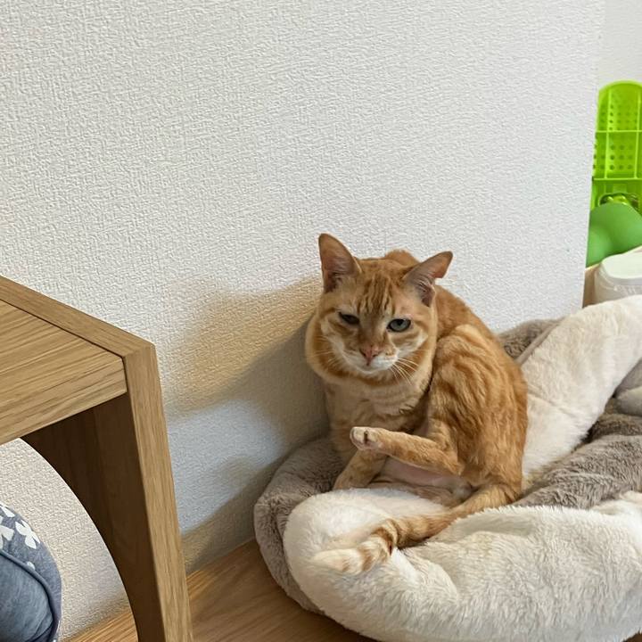 3dc5c747 c77b 43b3 8c0a 796947beaf09 1776553696602