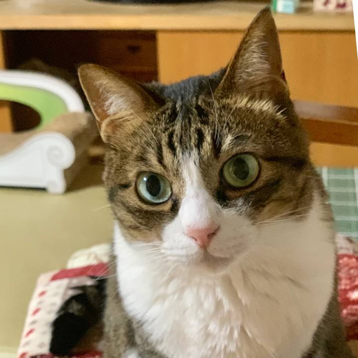 3dc600e9 b5ce 47c1 a286 955e10701882 1560945179014