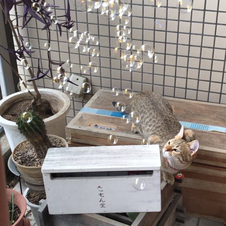 3dc62294 28b4 401a 8e92 4c4154bd9c50 1584846446530