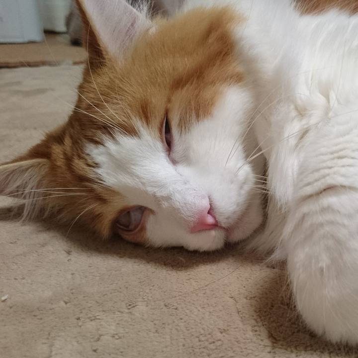 3dc629ee c2e0 4dab 85cc 61858fa07119 1514265206113