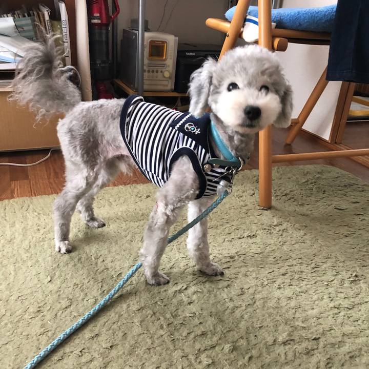 3dc681c9 3439 4b00 9e6e 0bf928d85d9d 1529141873196