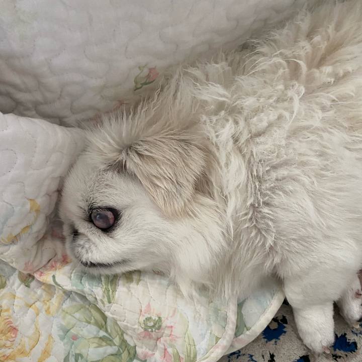 3dc68e0d 591e 41db a3c9 6cbe57bc4c61 1640923577500