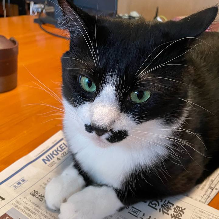 3dc68ffa b5d9 428a 8de5 36a77dfc95b3 1682124543884