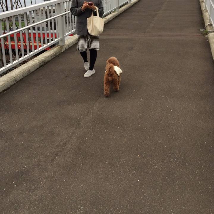 3dc7347f 46b6 4bad becc 8dec2f6b68ec 1553786117576