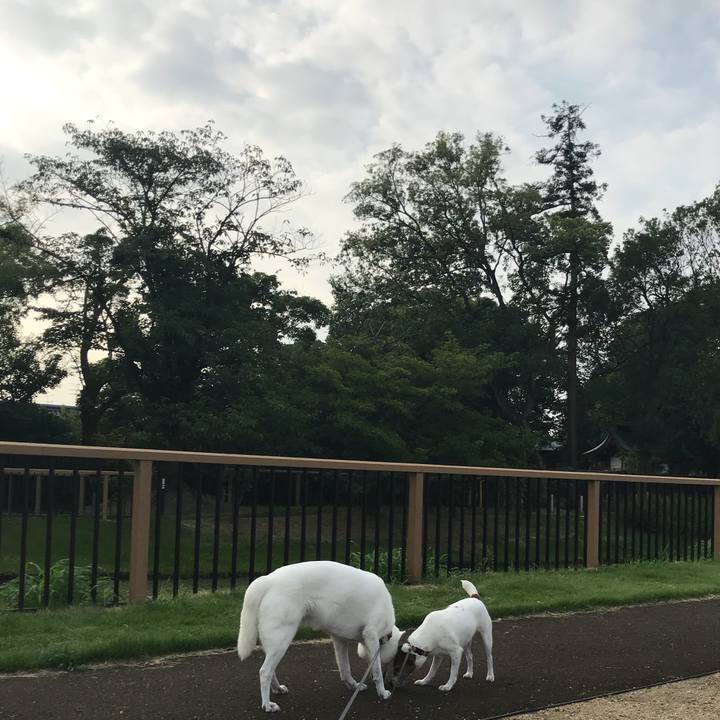 3dc7a0e0 83bd 4f0d 8c93 58595035eeb0 1533514021832