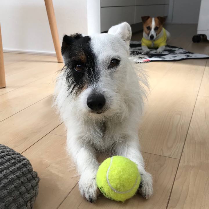 3dc7a49e 2cf2 4710 ad2d 0c03a4b6362f 1526431014109