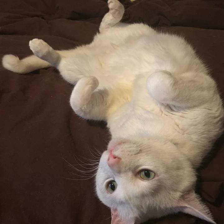 3dc7d5ee 1d49 450c b60d a43e0b8fc618 1549464439734