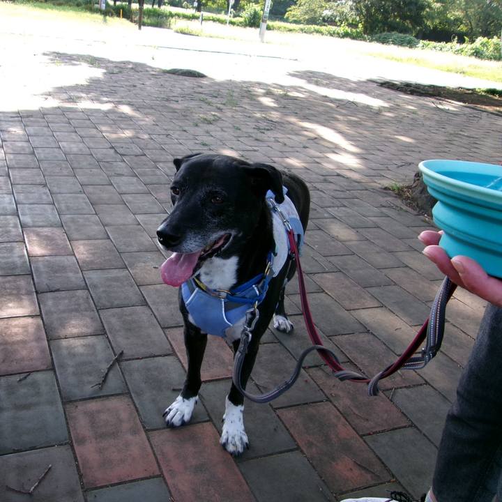 3dc7edf4 7028 4220 8535 0fc3ffa31215 1754614241835