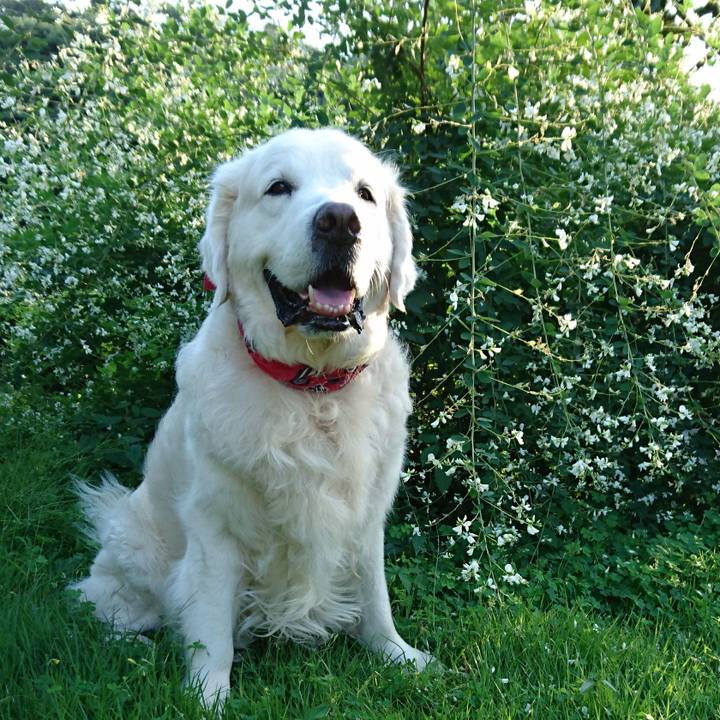 3dc801c1 bf0e 4d4b 9335 67e08352adb2 1538198949325