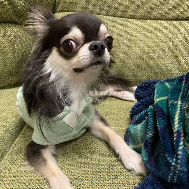 3dc82054 bfbe 4f0e aa08 d44cf99d8511 1667741475790