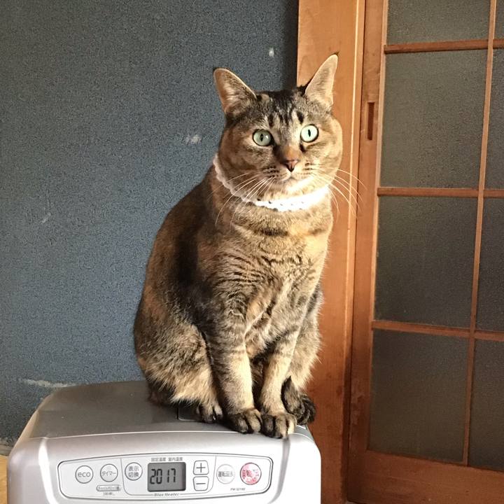 3dc822ca 1be2 4c25 b1e0 1959f686623f 1739670881741