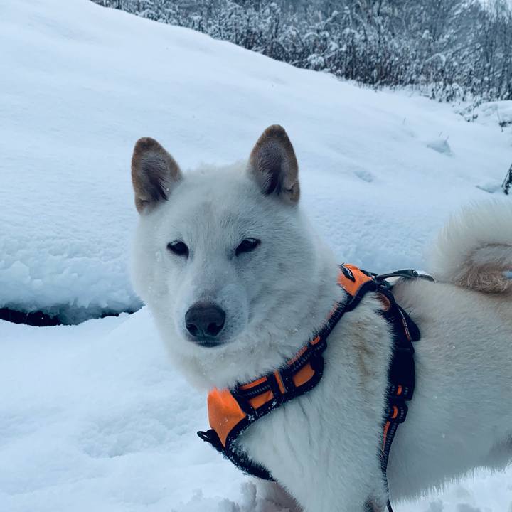 3dc8235e fab3 4ef9 8925 4f3764d29e56 1670452700962