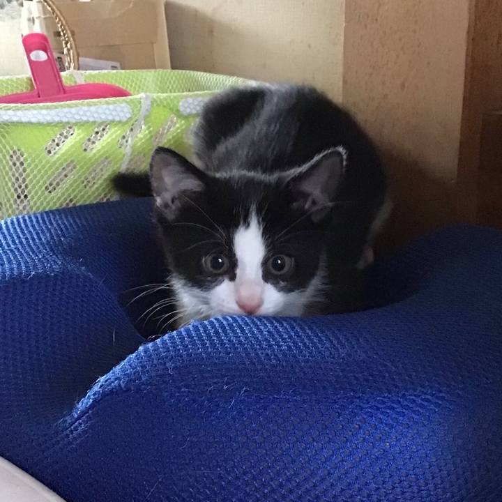 3dc82ae0 71ed 4550 bcb6 2d7dcbdcfe92 1624748273931