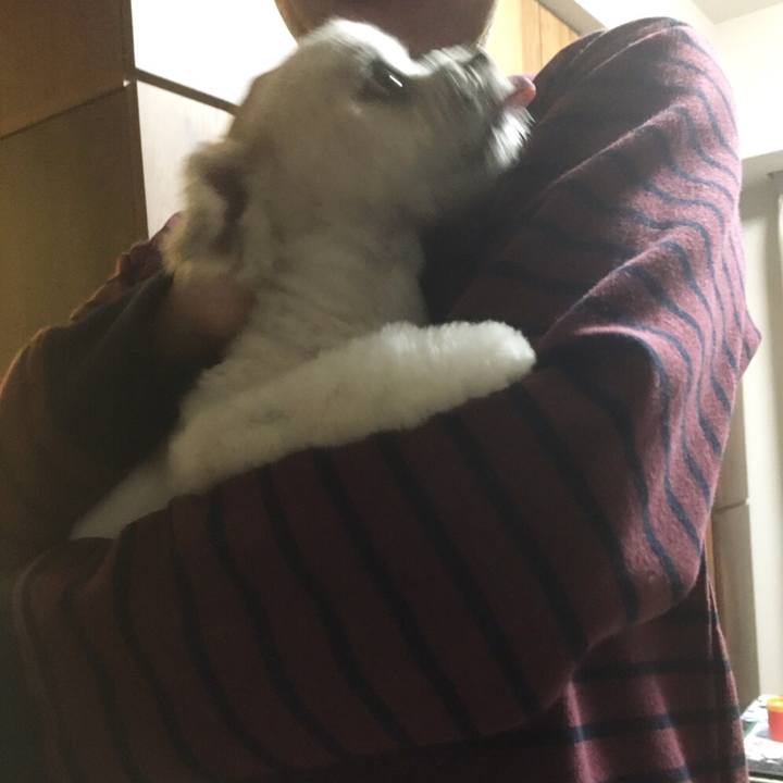 3dc8685b 3563 44c7 be1a c9b251a78cb5 1513425210409