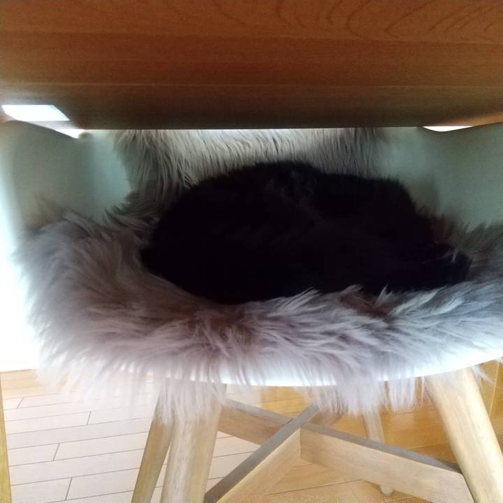 3dc88d97 05ee 4225 a210 1923fd20754e 1622160703018