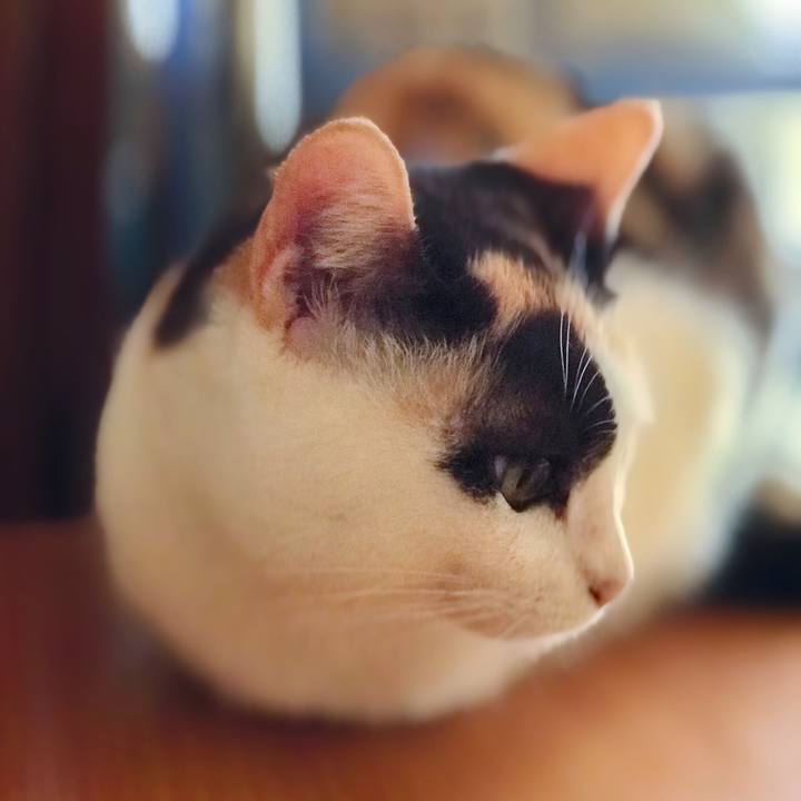 3dc891d2 540d 434f 992c 1465775fb3a1 1507946194203