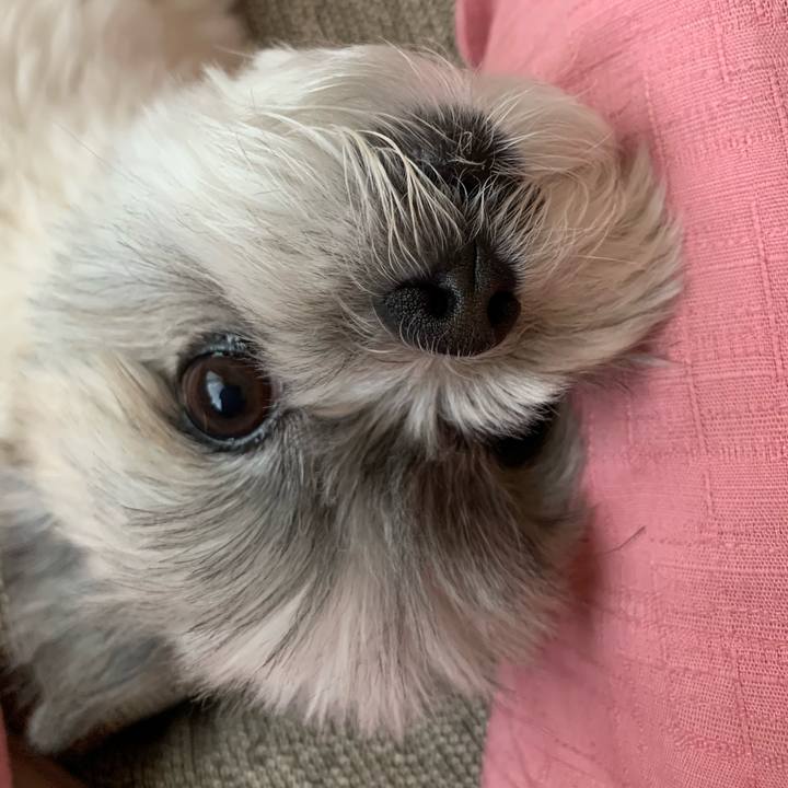 3dc8ec76 f1bf 457d 8d0b 7df2bf4a872f 1623660245695