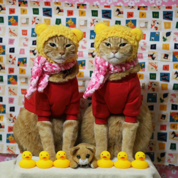 3dc90686 179e 4060 bc77 3ae249b80219 1517222225536