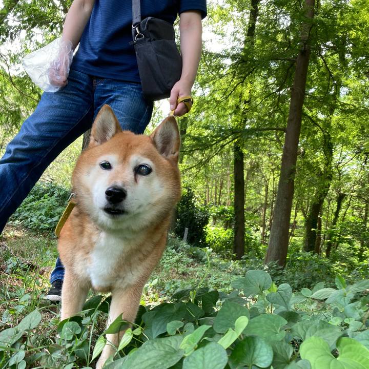 3dc93993 1021 419e aa99 b5af528f353c 1658632950995