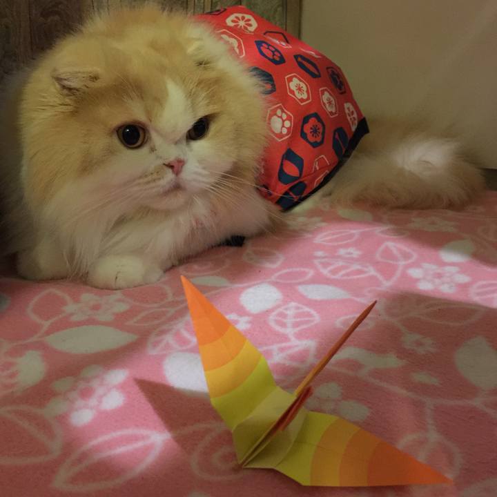 3dc94e61 081a 4211 baa6 76ba05b99012 1514894666837