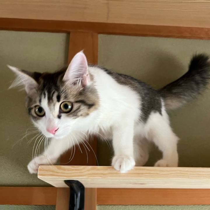 3dc96d48 88e6 4acb aab6 815e467026f8 1695192728516