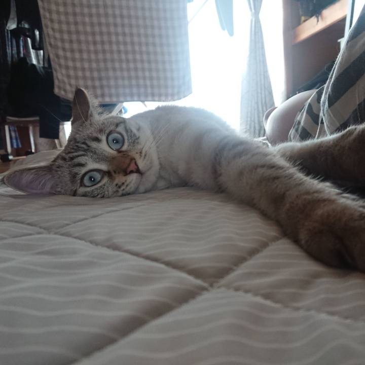 3dc9703d f4b9 4d49 aa7b 0294913de1e9 1533700109492