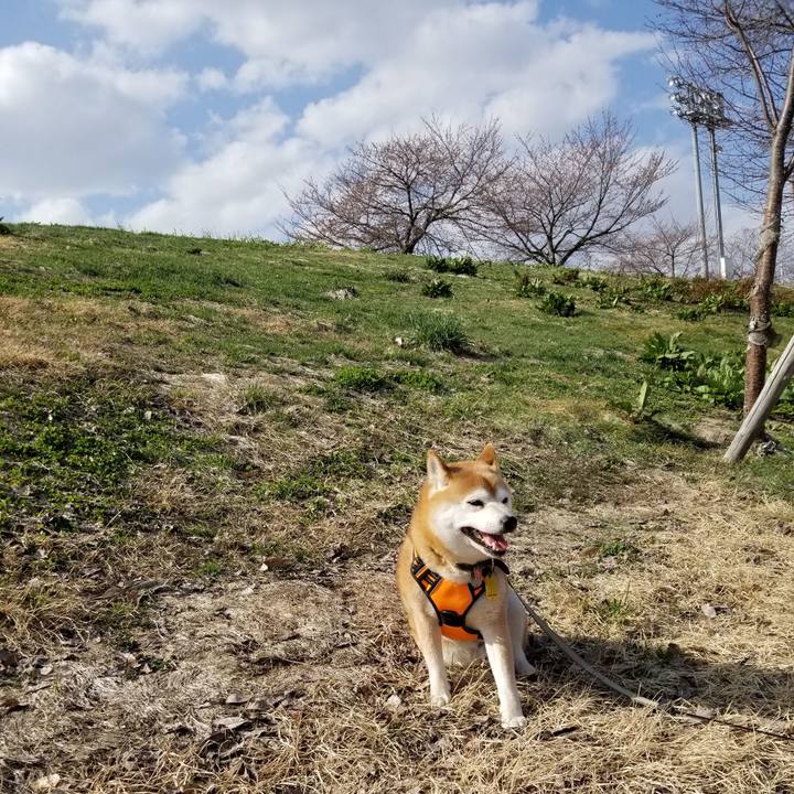 3dc97d14 54cc 45e1 8496 93bf74b20c2c 1617429180472