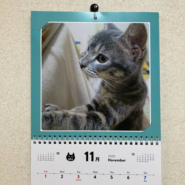 3dc987e7 669c 4264 a4a0 3e7f77132134 1604192074260