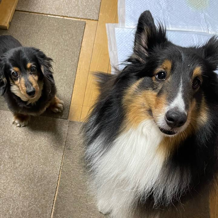 3dc98a2a d97a 4883 8c27 a7f977455c95 1652955362882