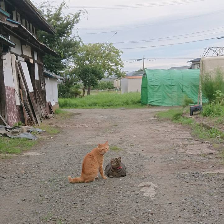 3dc9ab85 35ce 4587 8e21 096a73b74f84 1661333287482