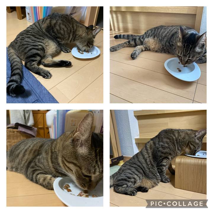 3dc9bb47 b3fd 43eb 938f b7a01cd59d0c 1694808488143