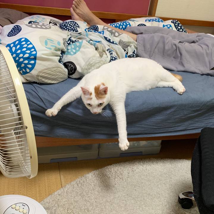 3dc9c03b 63ce 4568 9eec eb7391950416 1660309985021