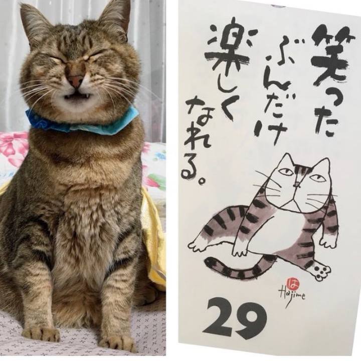 3dc9c23a f48f 47dc 9bcf 4fd2a597bb83 1764368227055