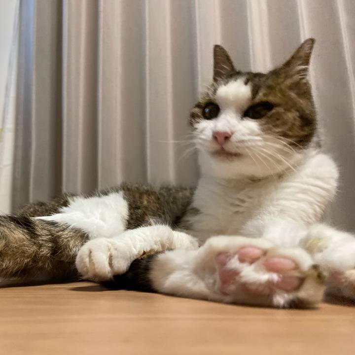 3dc9c48b e082 4597 bdec 92bd64d552ce 1595425326865