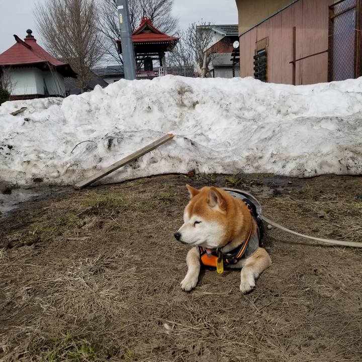 3dc9cceb a753 456e bd9e 79c02842cfe5 1616216256318