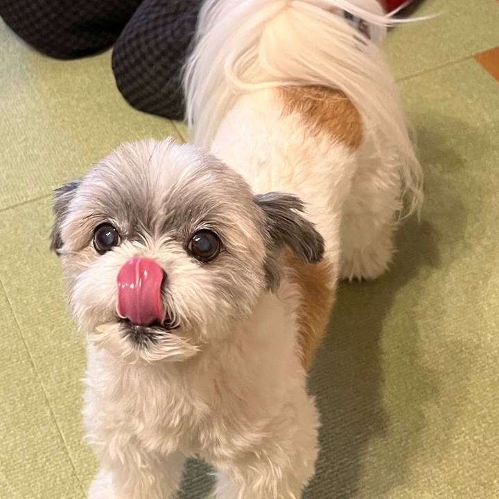 3dc9ffd8 4105 4fbf bd66 637ec6f2ea81 1734080457212