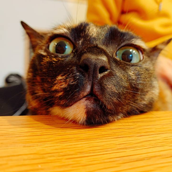 3dca04b7 5558 48f3 a5a1 9fb4582ea1cc 1552913822803