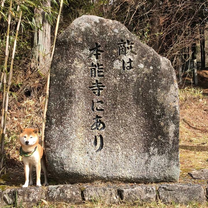 3dca229d 1470 4d14 810e aee294a32411 1612684698097