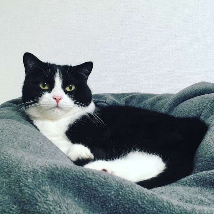 3dca44da b8d5 4a46 b5db 8e295f305a6b 1634628388989