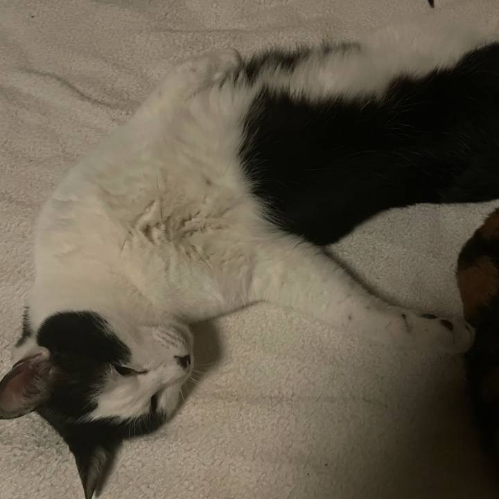 3dca4c32 b4c7 4372 b4b3 7175c14f2f97 1643657060205