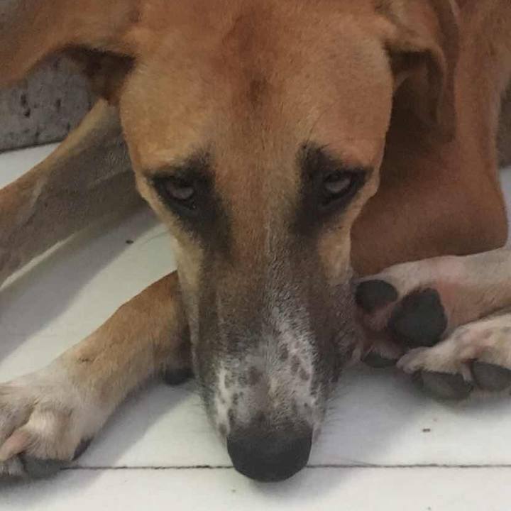 3dca61af 87ad 4ab4 9ff3 463100661f7e 1536633931258