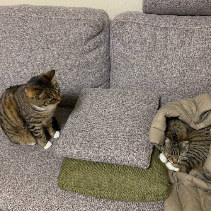 3dca654d e4a3 4284 8f1d 68c20983fa90 1553482286092