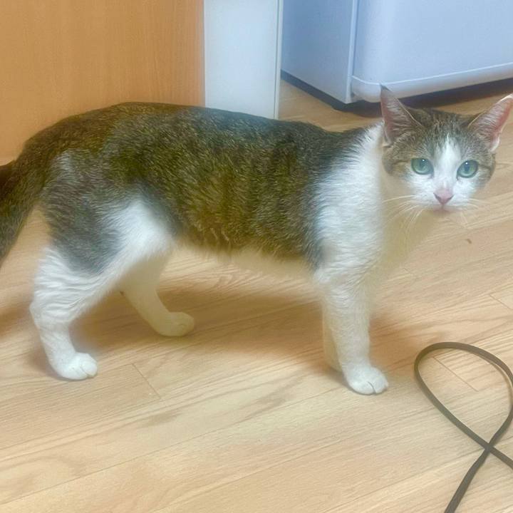 3dca79ee 8a3b 4b9e 90b8 3282c46e1128 1628293859544