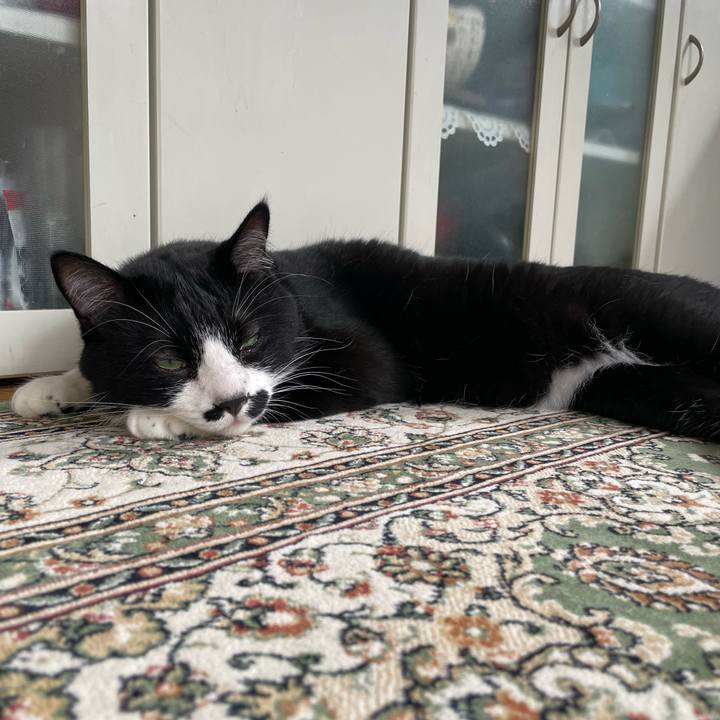 3dca8dc6 84c6 45b4 98e2 7e7028067d70 1688599293037