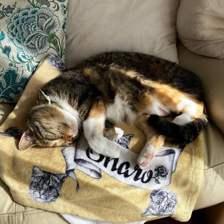 3dcab214 84bb 48bc 8550 678db822ab7f 1776319722077