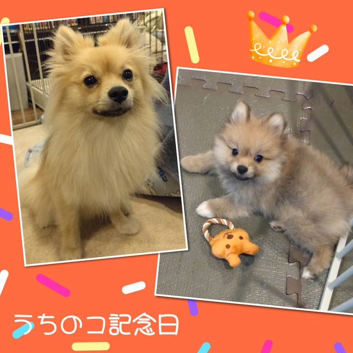 3dcb03b2 4b02 4d08 ab62 1f2b906649b3 1752554763920