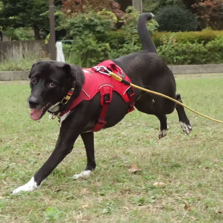 3dcb0a55 6594 47b7 8daf a2f066e166a5 1602633801141