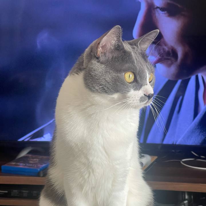 3dcb9c41 4094 4c11 b966 6c544127196d 1635732738264