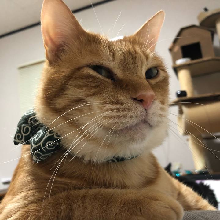 3dcbdafb bd04 4900 9b83 351fc04bbcc9 1581716511300