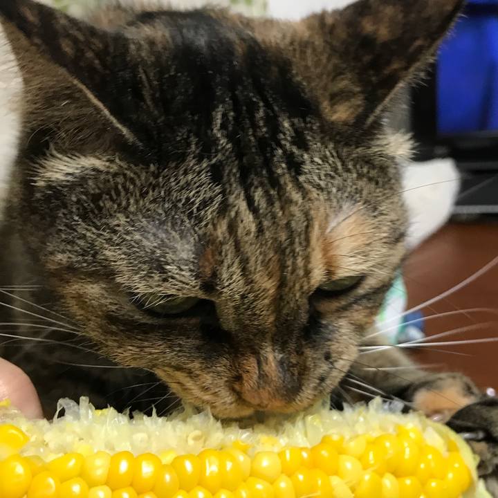 3dcc135c 7fa5 463c add6 93cb80861bd8 1528378282645